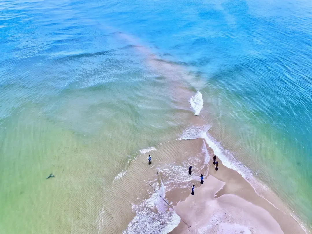 6da0622bb446ecf0d71da9a892e492a5-sz_1972963 6da0622bb446ecf0d71da9a892e492a5-sz_1972963