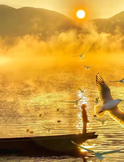 6dbd55503d3c6d0bb102375727f94d24-sz_50180