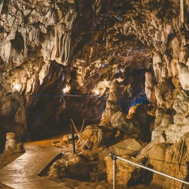 6dd87459fdf42b86977cf0223a17642c-sz_387265 6dd87459fdf42b86977cf0223a17642c-sz_387265