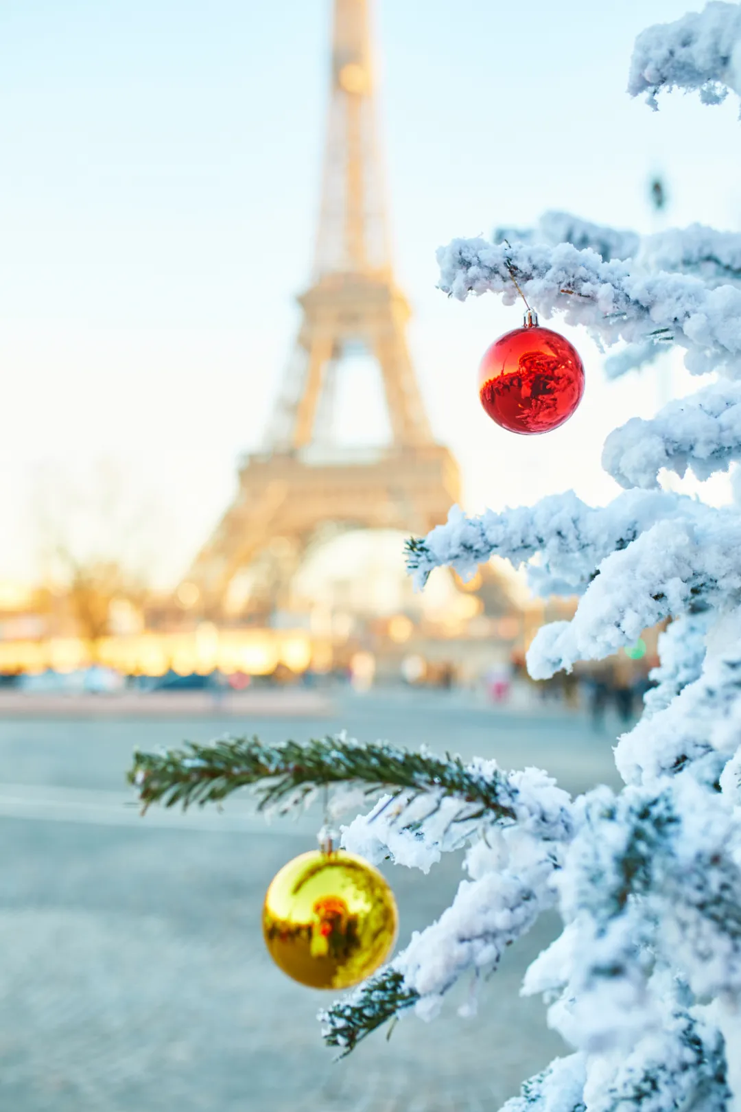 6e07f2378fd57bf4272e751af734db61-sz_1104548