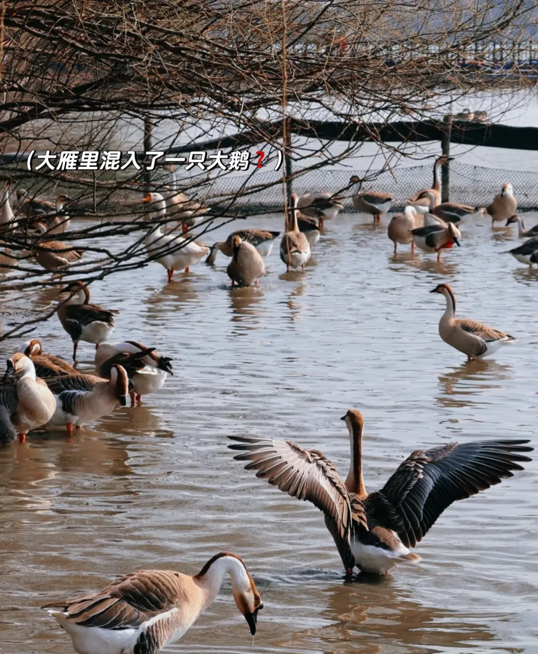 6e1872b5b89622835c95e056cabf855d-sz_1392012 6e1872b5b89622835c95e056cabf855d-sz_1392012