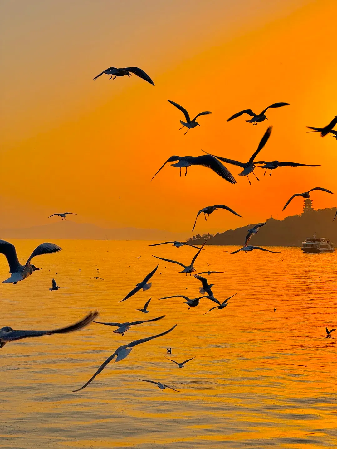 6e188910edfb84fab8d78771ca784597-sz_1817381-1