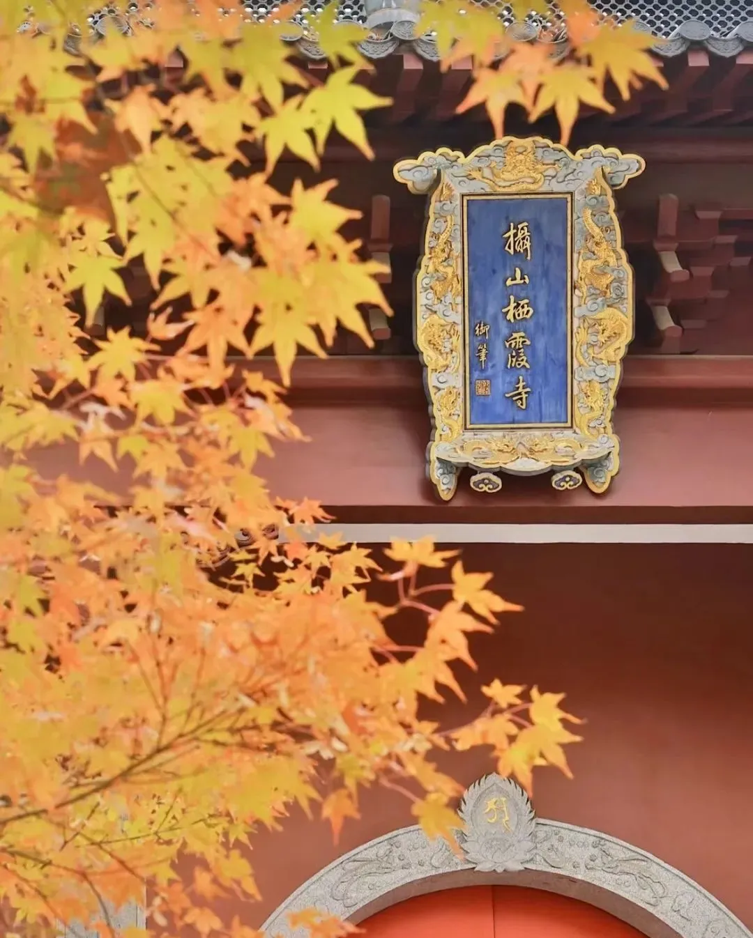 6e34035c71b373a650371b5992158511-sz_201567