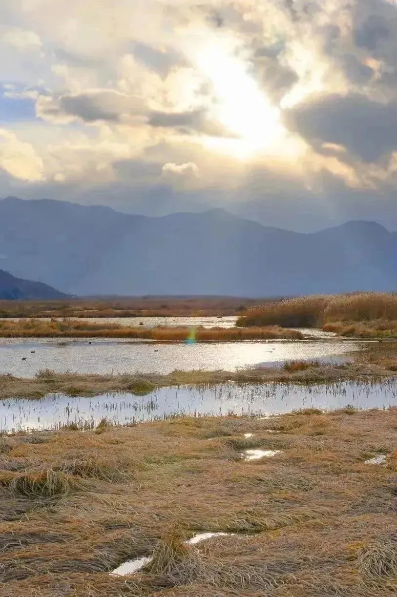 6e408e6e3a48671dd9f578b8f1968334-sz_166835