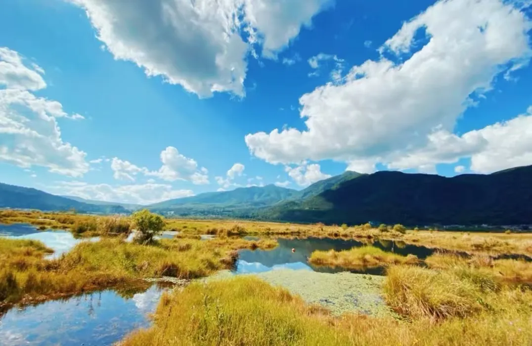 6e5d1c74f593a3ed74b60d601b68ace8-sz_417139