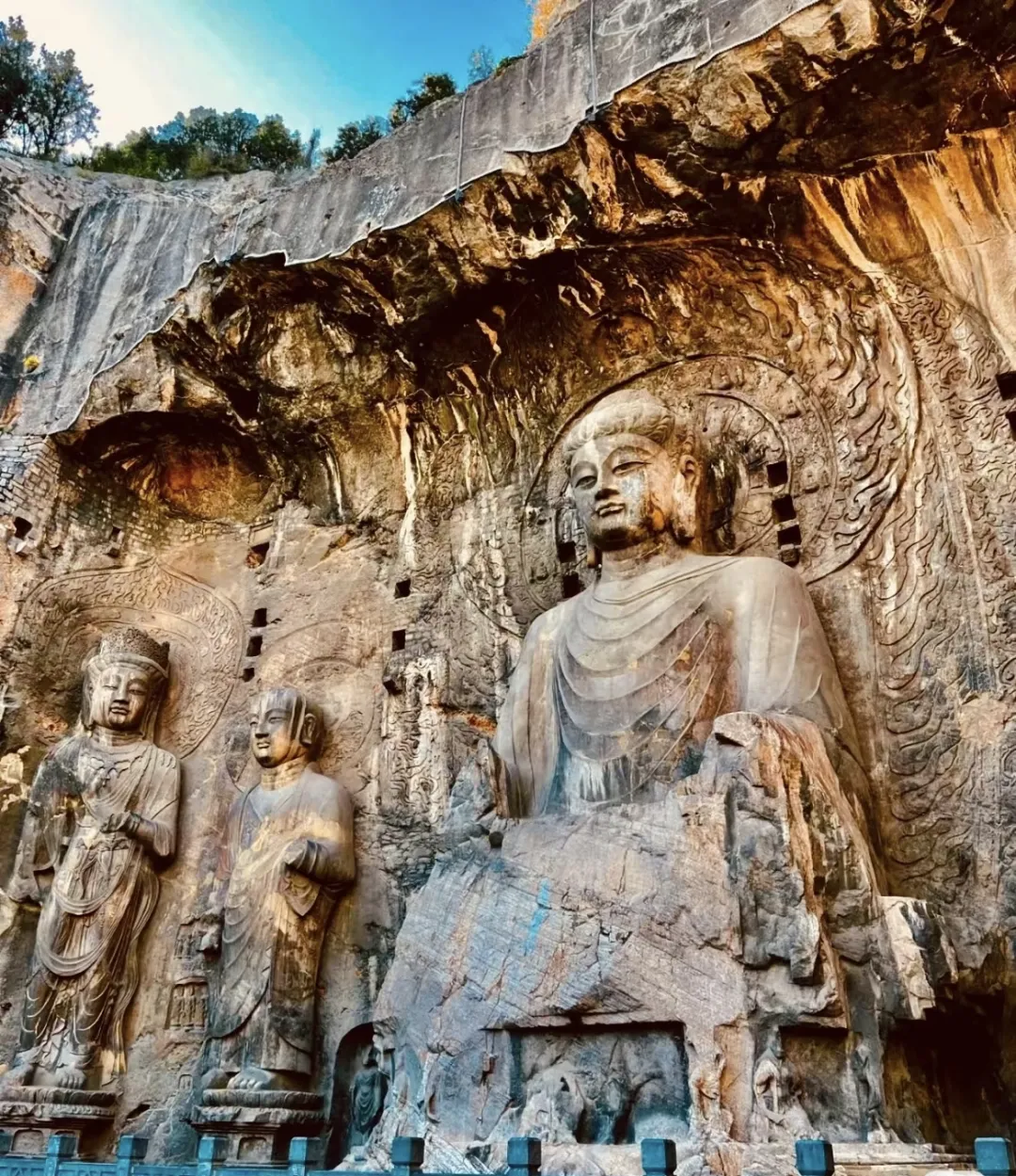 6e640eddc81b708a729fba22db68c84c-sz_1295874