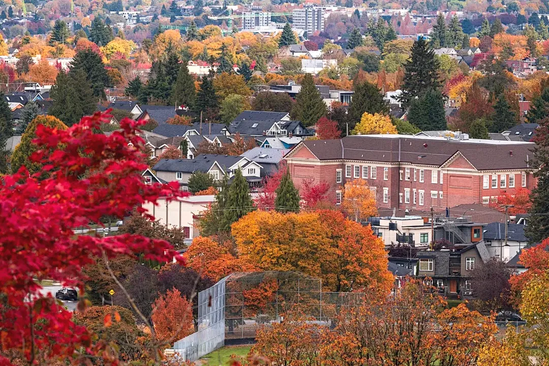 6e85bb6835e4a534fca1679f1dec5a79-sz_3677050