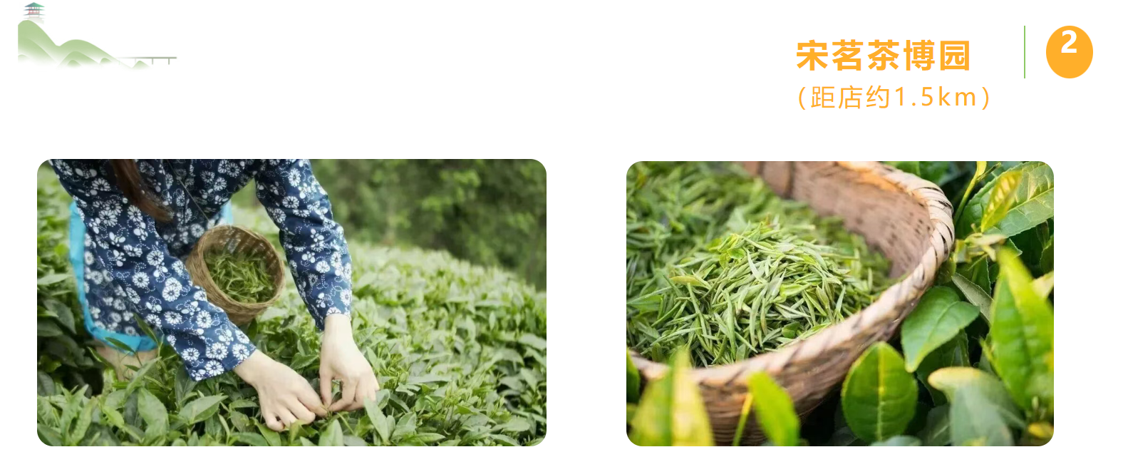 6e9da4879e67d68d9bb75c5d8f0f5d52