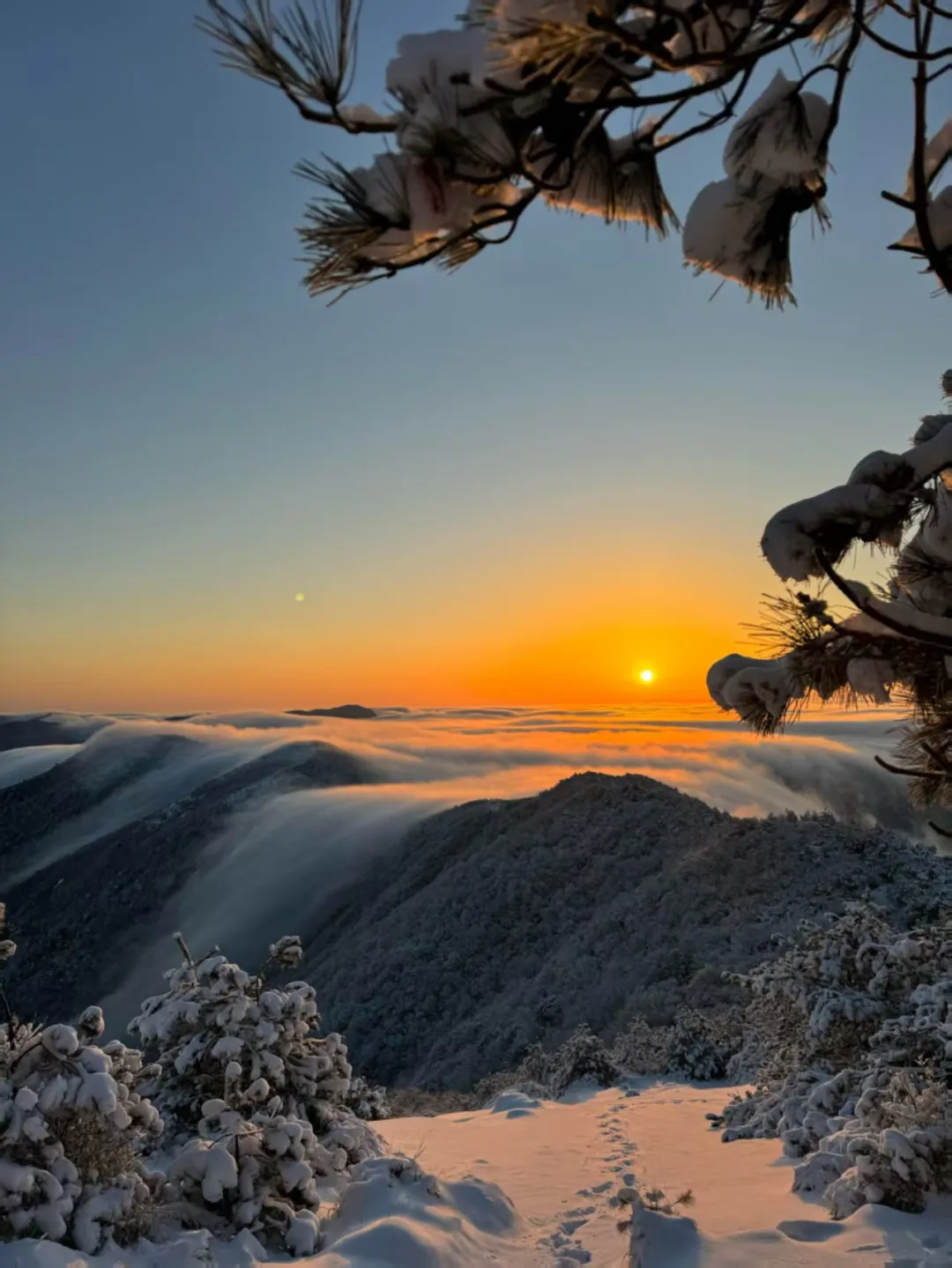 6eab92aa6843e18a6f2986c3d6aea187-sz_277693 6eab92aa6843e18a6f2986c3d6aea187-sz_277693