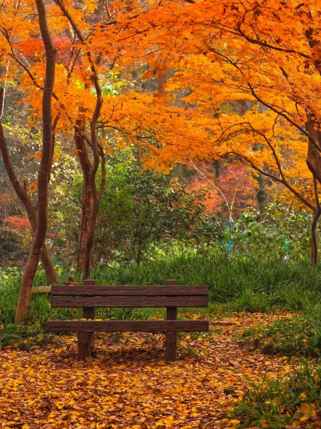 6ee2309b002ad08b51d8bd7b90566d43-sz_2880743 6ee2309b002ad08b51d8bd7b90566d43-sz_2880743