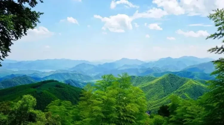 6eee66ecdbf44e3ad57a3aae74a91b5f-sz_87767 6eee66ecdbf44e3ad57a3aae74a91b5f-sz_87767