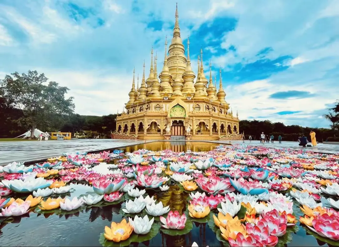 6ef3e0705a59f04af9f04d5bc22d1f63-sz_270384