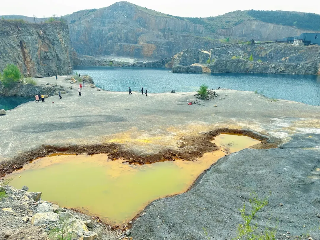 6f06e6f73d97c0e93a8003ac68624771-sz_3093621