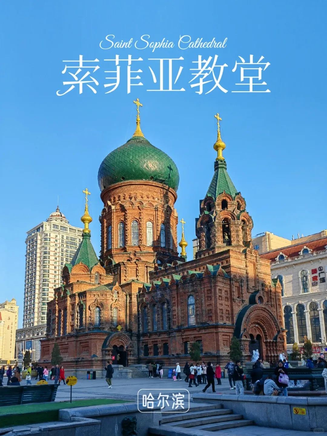 6f170776fd6f675bd1a6810f9f342faa-sz_393426