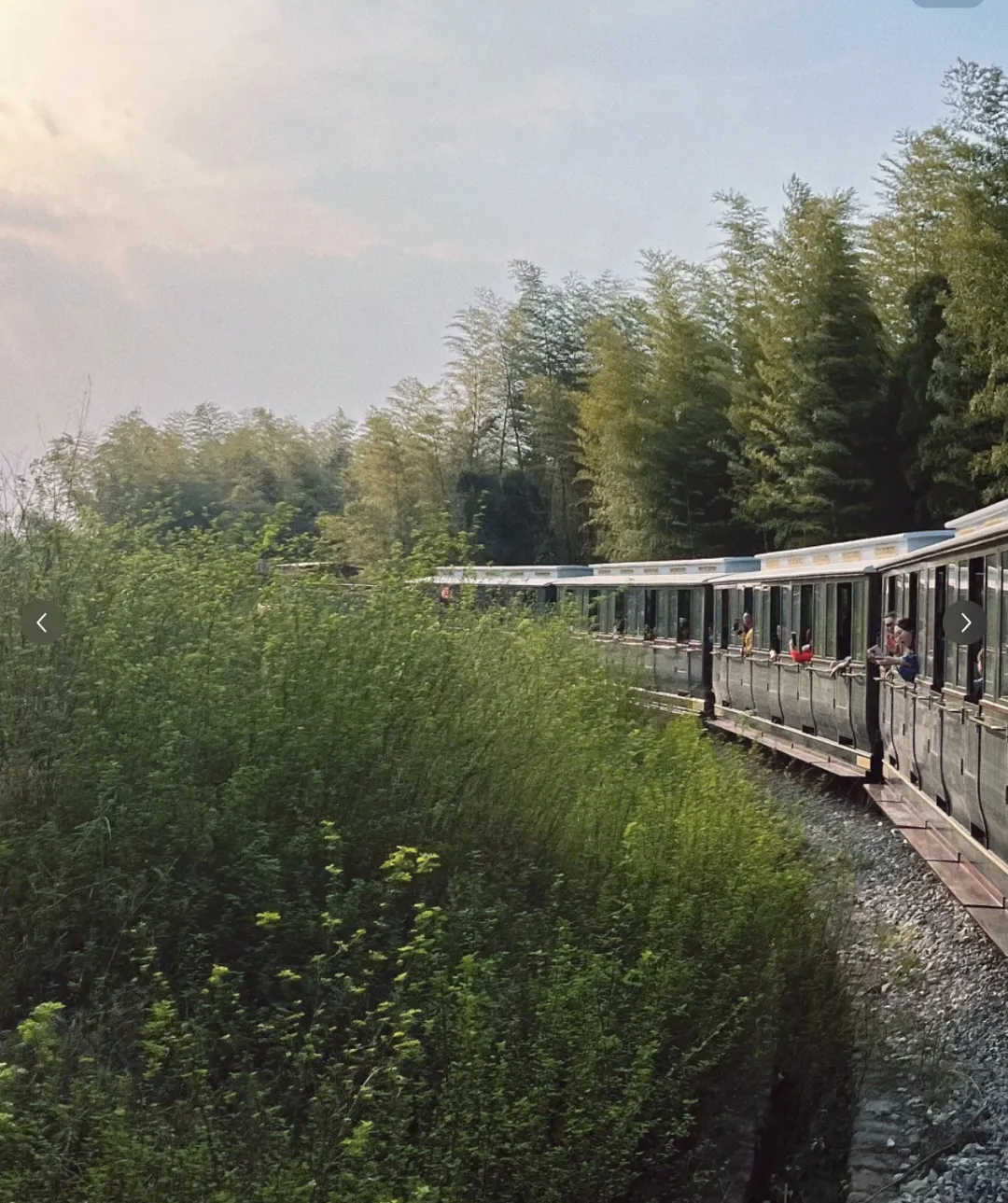 6f275160cd44be7f9c73d09552e741f5-sz_1450195 6f275160cd44be7f9c73d09552e741f5-sz_1450195