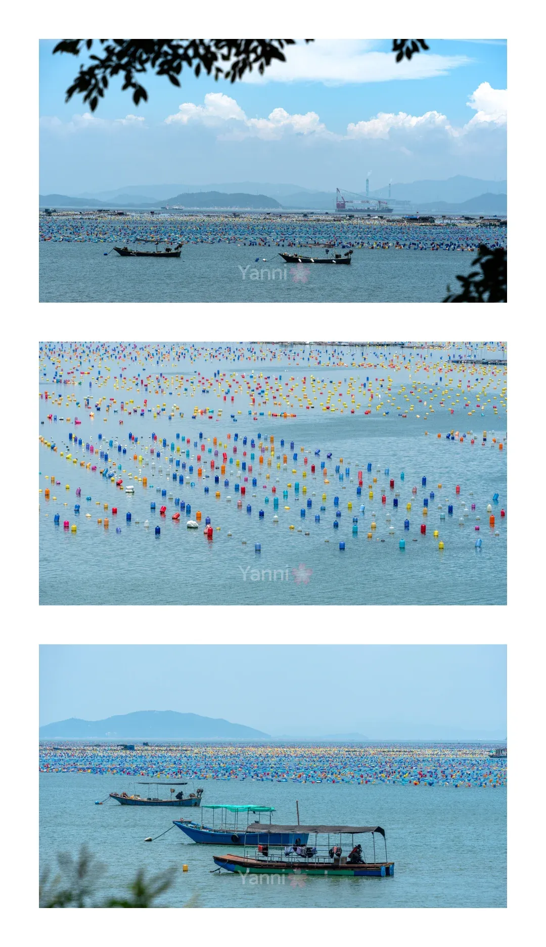 6f84d248b27570137ff0510b3a00e883-sz_2313894 6f84d248b27570137ff0510b3a00e883-sz_2313894