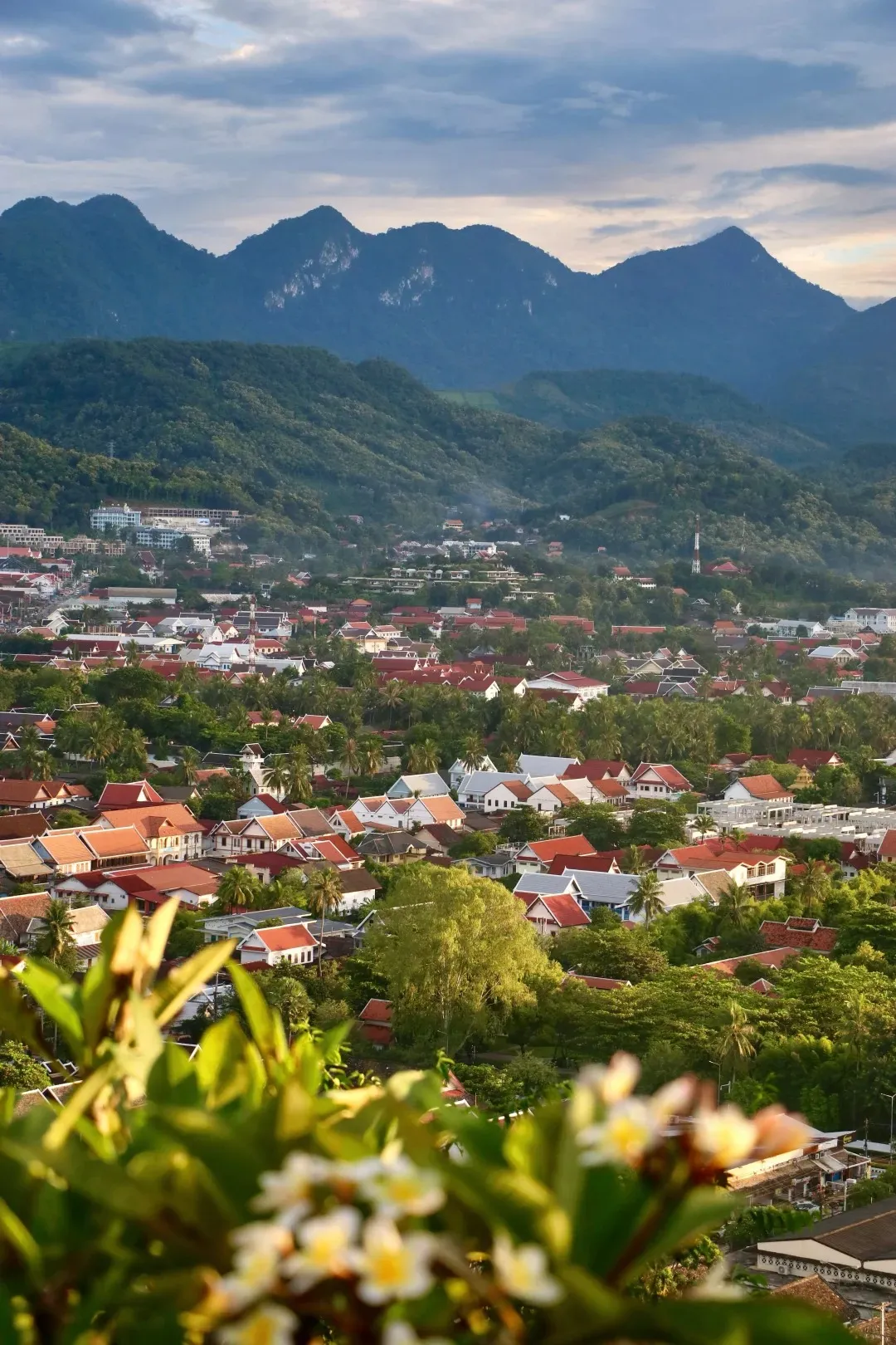 6fa0e5b28f8ecc2737e6cb5872f84613-sz_495124 6fa0e5b28f8ecc2737e6cb5872f84613-sz_495124