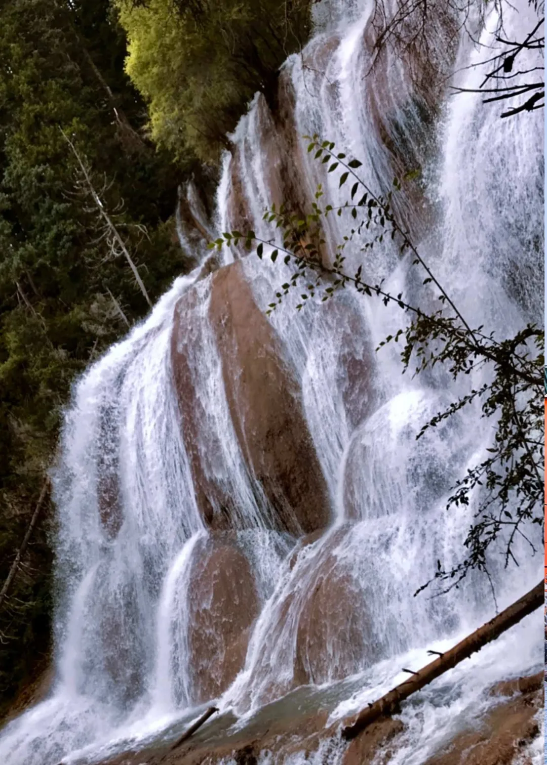 7000e4877df80b029776396a41acaba4-sz_796417 7000e4877df80b029776396a41acaba4-sz_796417