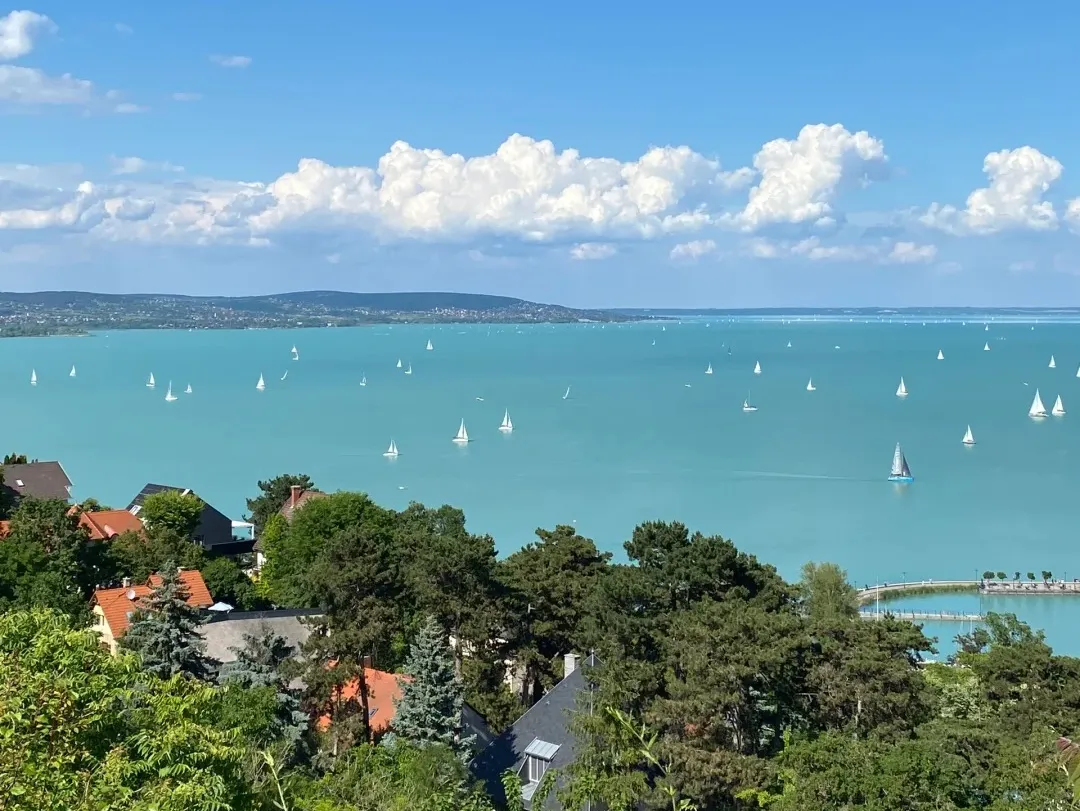 7001fd5a5b7cc67f1103406d34e5d961-sz_409594