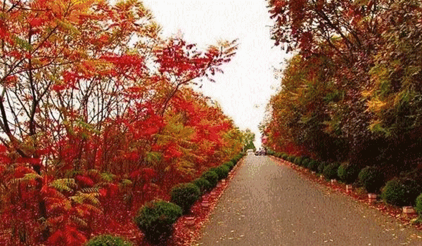 7022ee0dd3c04a2a96bf016b8221a7a3 7022ee0dd3c04a2a96bf016b8221a7a3