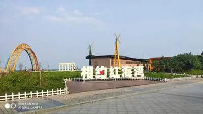 703be01ff709200d45b9f916d9f1de8b-sz_18233