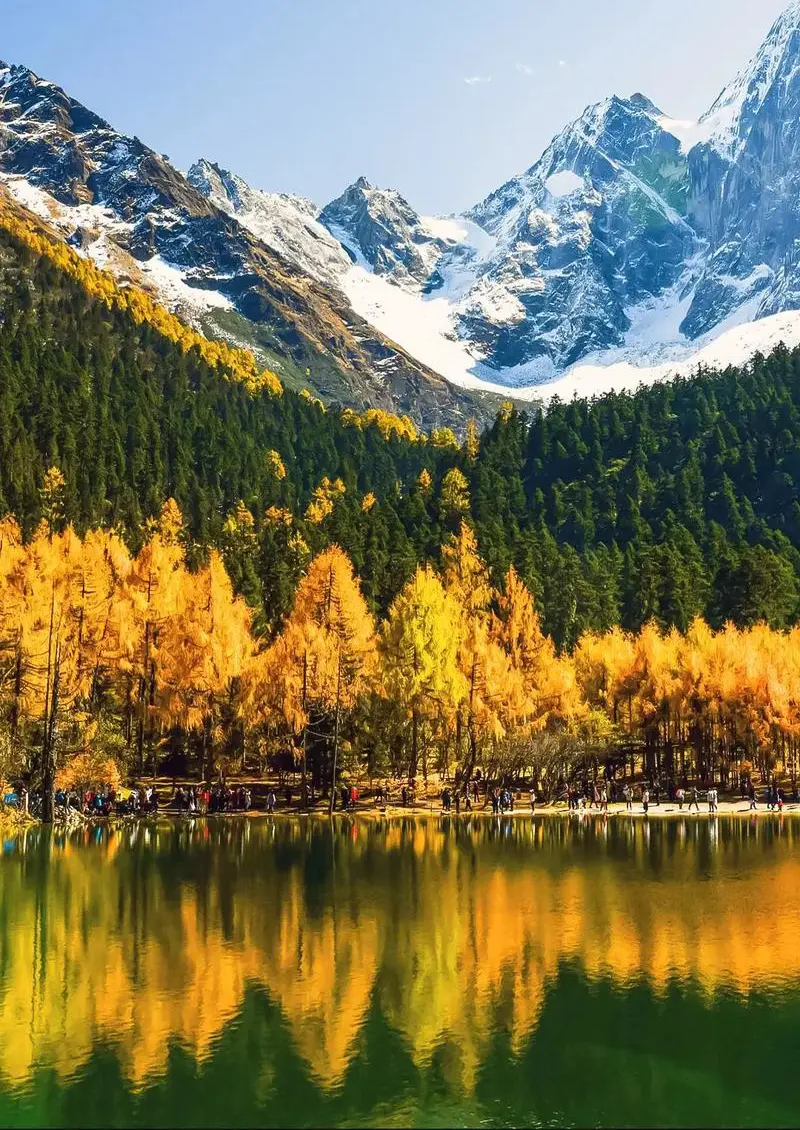 7063caacb1ec3d4a415c11fa184e9d64-sz_220008-1