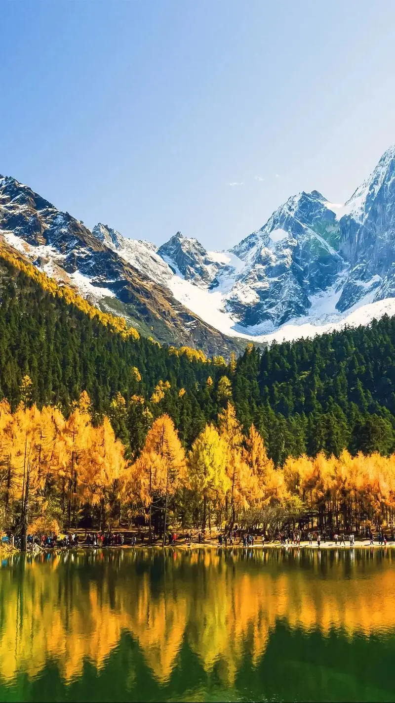 7063caacb1ec3d4a415c11fa184e9d64-sz_220008