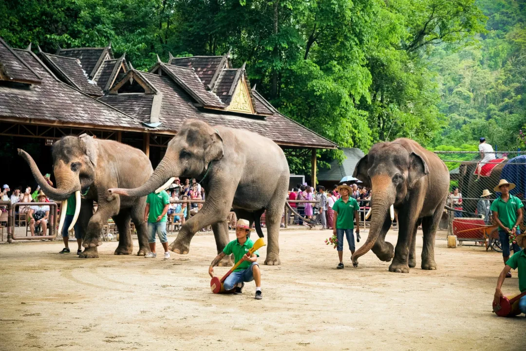 707316f1285e7cd81f4bcc516043422e-sz_1540471 707316f1285e7cd81f4bcc516043422e-sz_1540471