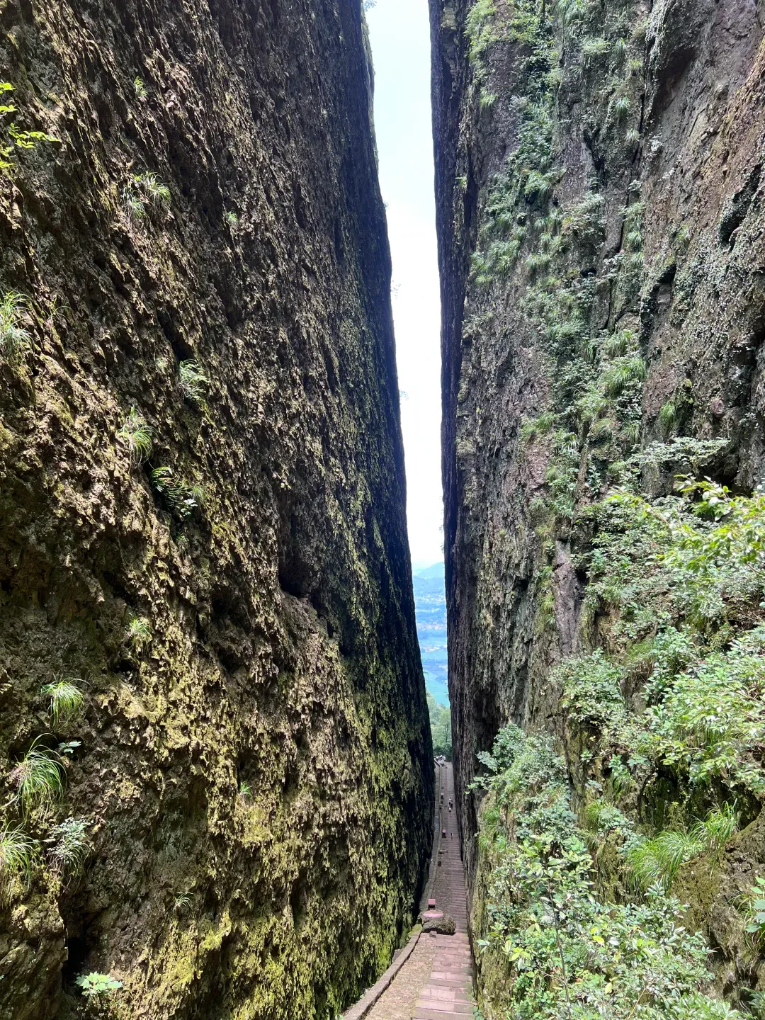 70d8a338b283720549a104df3abe57ea-sz_4295484