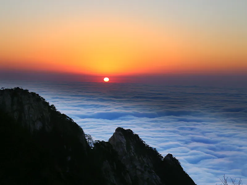 70fe9000c0d976fa6bed461fa9d94f07-sz_448506