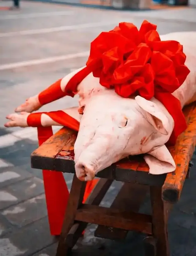 7175829fbc2e0bf54b7ff12dd92f77d7-sz_303997