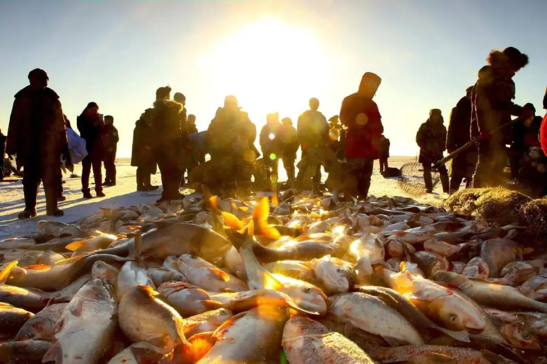 718e05eb7b3b97d85713d262f96902fd-sz_141104