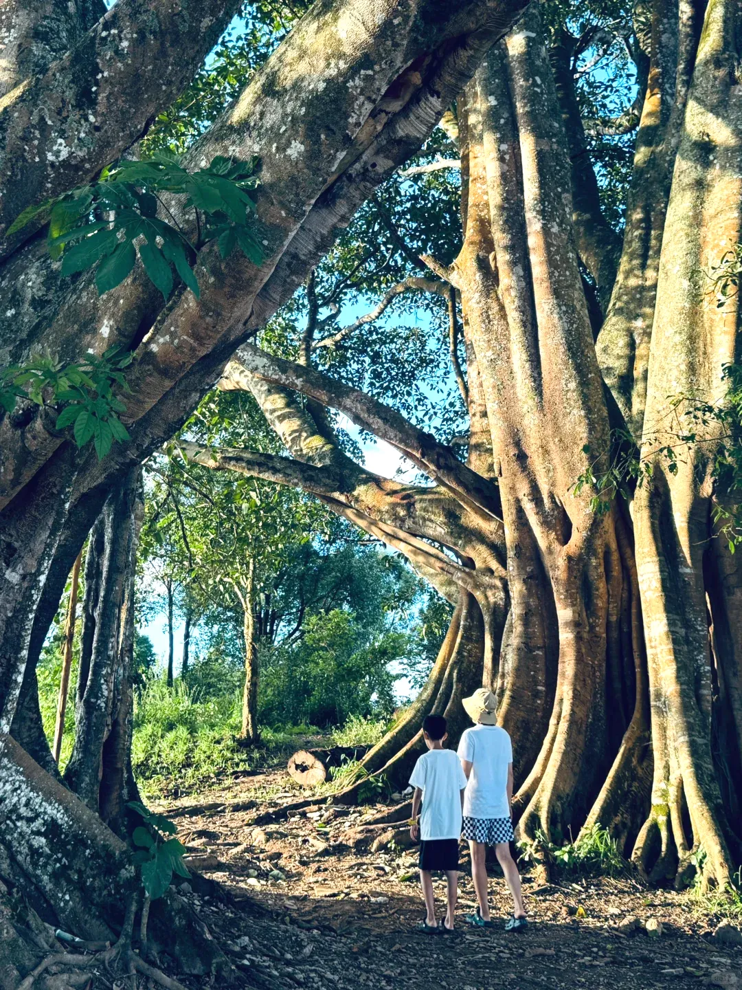 71a7b00d4d7a7fb758c1eb9717b7d12d-sz_3893251