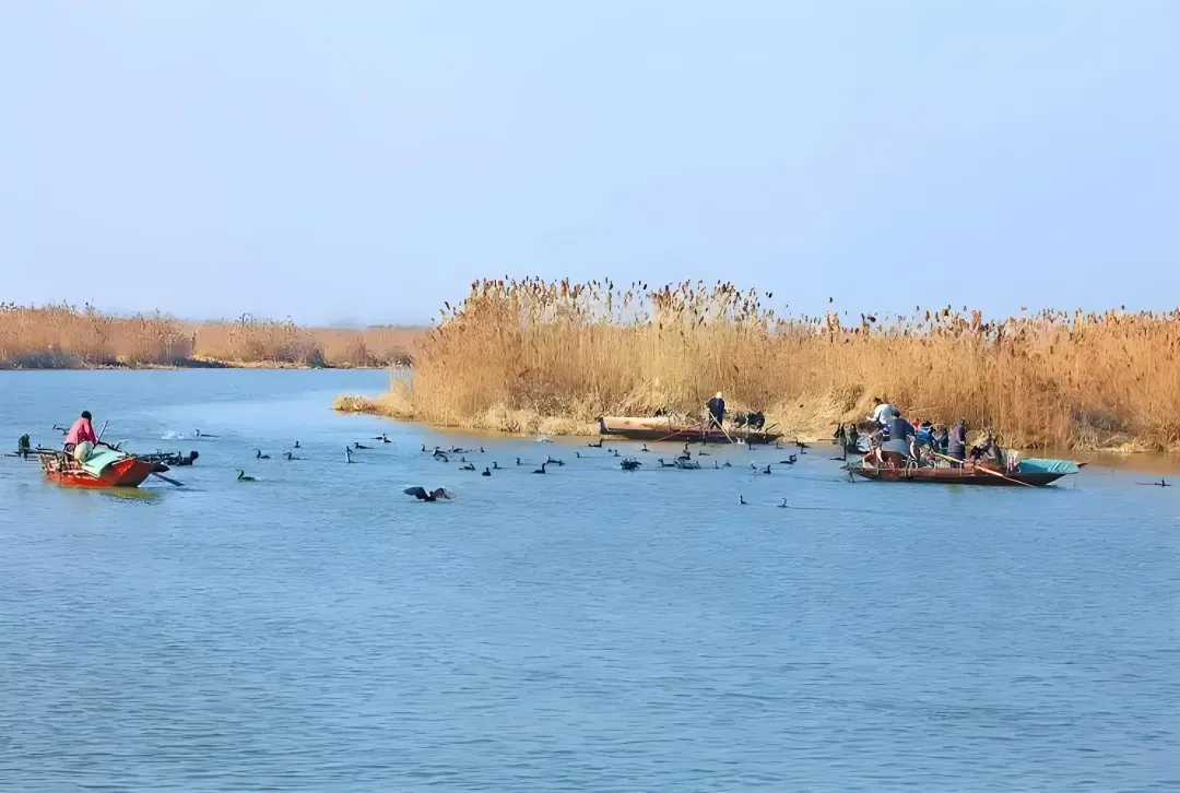 71b81b8187a23206f42a227256325798-sz_607403