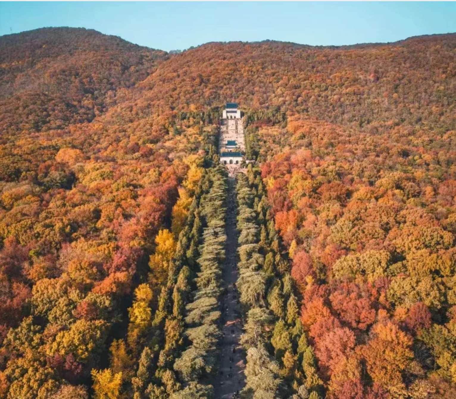 71c908338e20628665fb0a6867bf5377