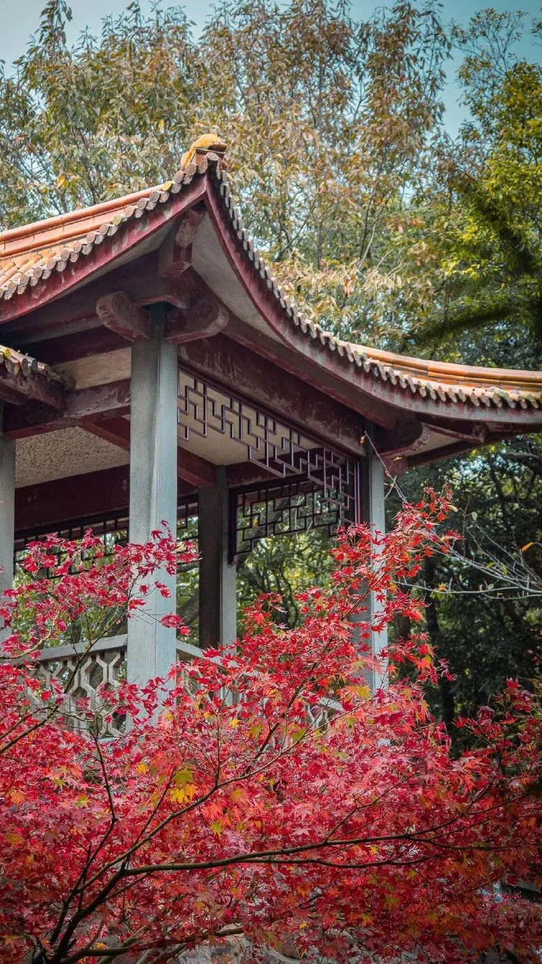 71dd66826203b58f0a1070c67033f761-sz_385023-1 71dd66826203b58f0a1070c67033f761-sz_385023-1