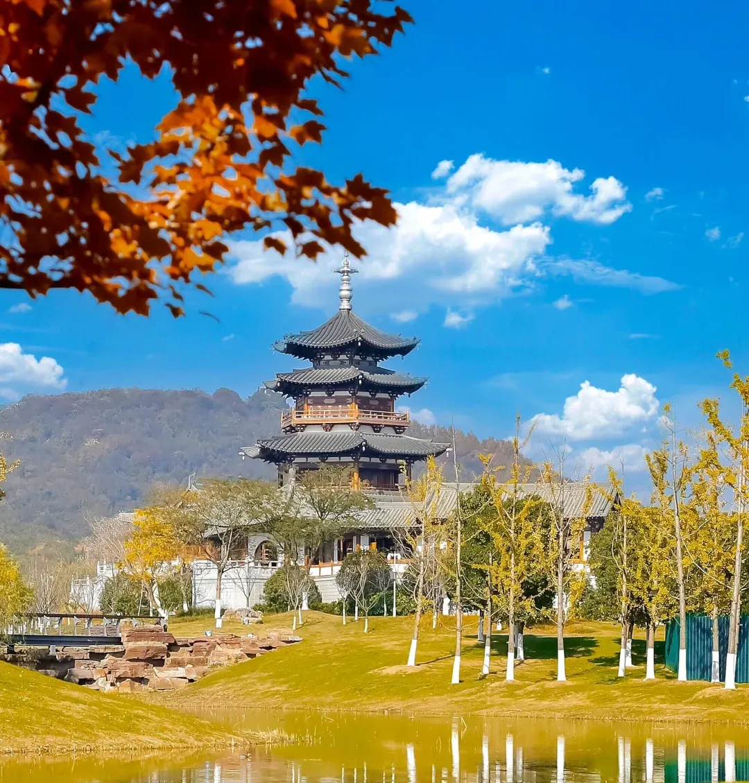 72285e059db912f72665faddf36a9787-sz_2202674 72285e059db912f72665faddf36a9787-sz_2202674