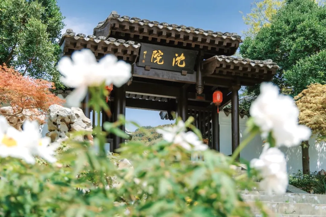 7241e6877e417280c1022f34d5b8ded7-sz_219648