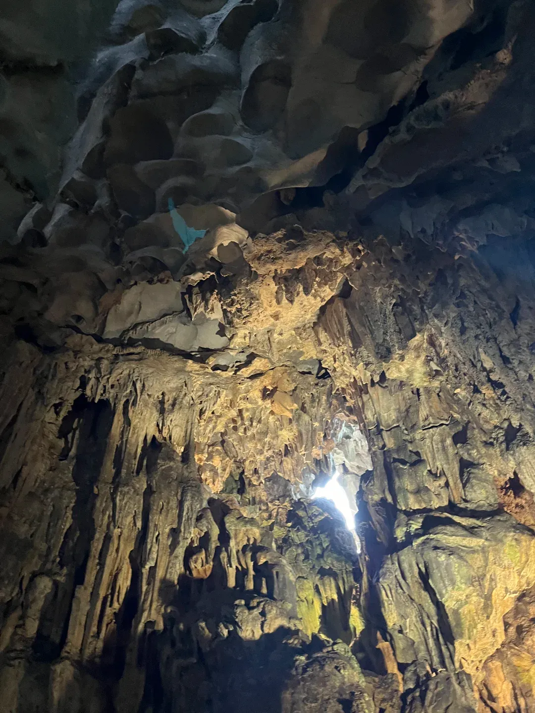 7245762fc4c953a1c5fd7c1bcc2ed3b8-sz_3100626