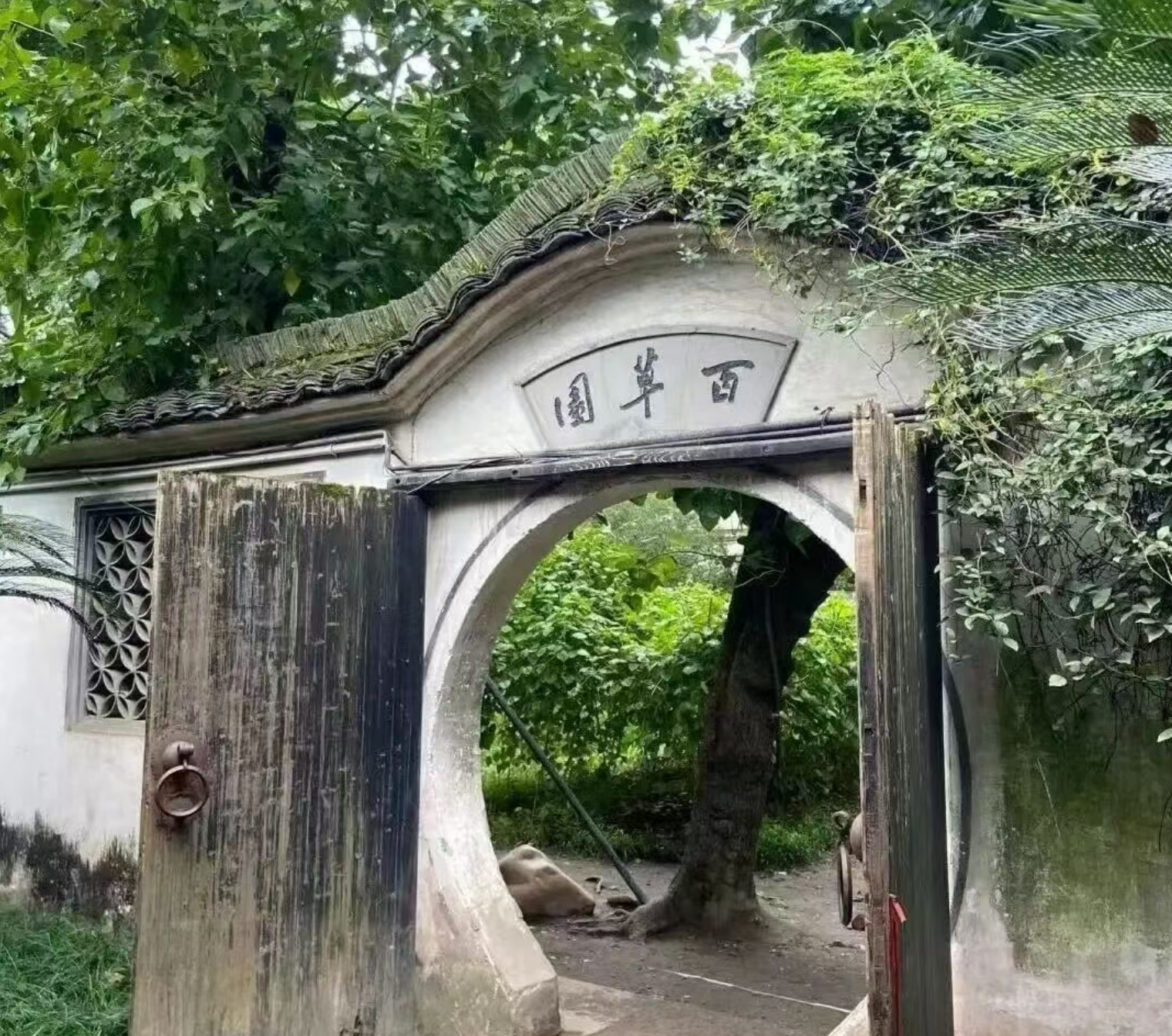 725923a5c604869b7892c1bf38accd2c