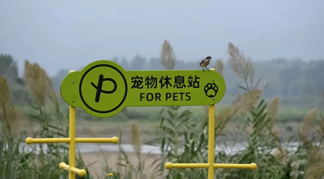 725bc8c08501a7680c9d44f8ed8e13cb-sz_1411652 725bc8c08501a7680c9d44f8ed8e13cb-sz_1411652