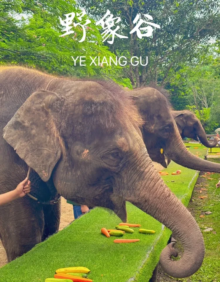 7281976c597a8b4efe2a6380af97e498-sz_4750350 7281976c597a8b4efe2a6380af97e498-sz_4750350