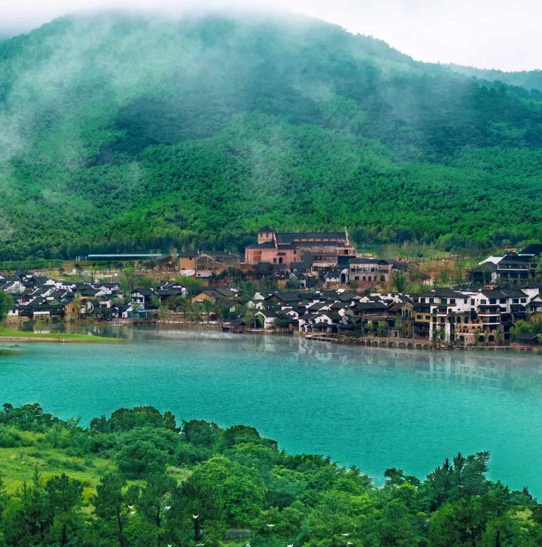 72a55959d5f5bb24029bce0cd2b820b0-sz_4294365 72a55959d5f5bb24029bce0cd2b820b0-sz_4294365