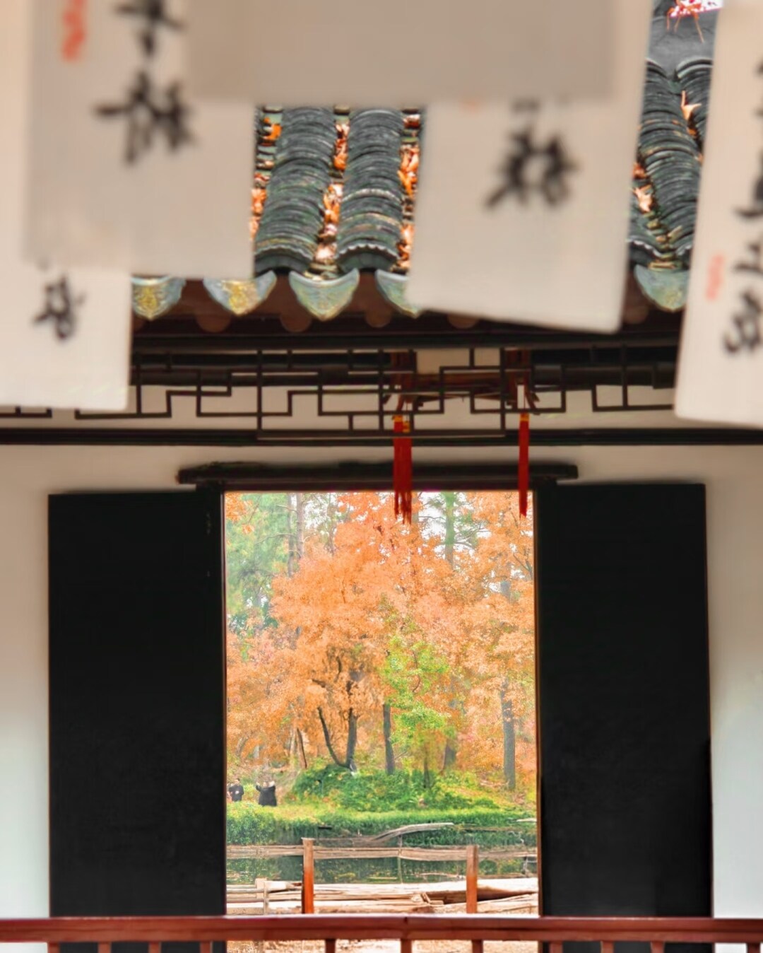 72bd190f9103b457309a04797a8bfccd-sz_981379