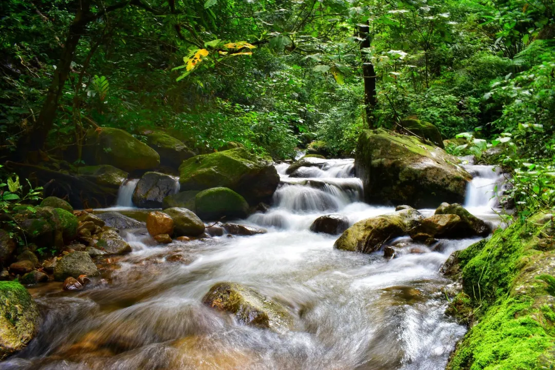 72c01914d3154c6218eb13abdf5c40d5-sz_558179 72c01914d3154c6218eb13abdf5c40d5-sz_558179