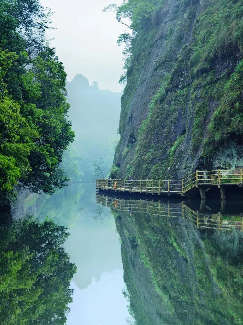 72c744ee6d3b9a23993425b52cd49470-sz_310999 72c744ee6d3b9a23993425b52cd49470-sz_310999