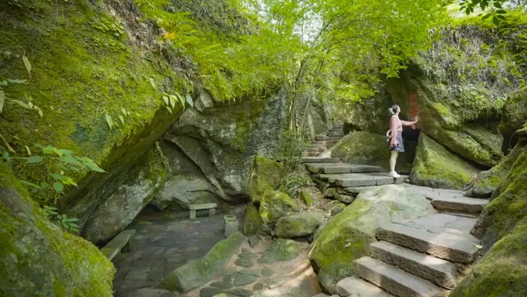 72c845cc62019889864e5df090aa7452-sz_148369