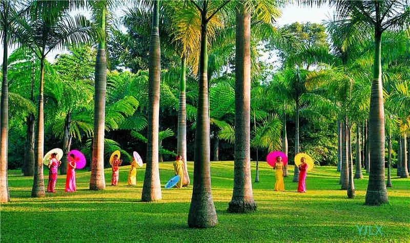 72fd152abbe7e191769f086ace7fbeec-sz_122661