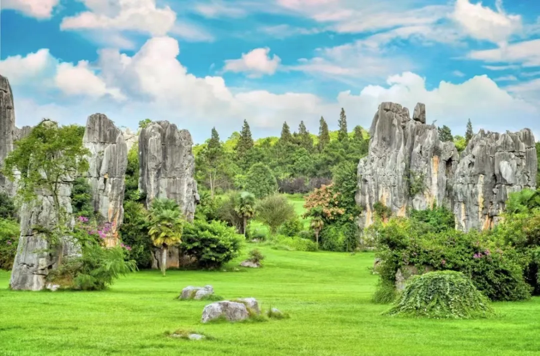 733c98f75e668a6e3da7c70ab9503a54-sz_294200 733c98f75e668a6e3da7c70ab9503a54-sz_294200