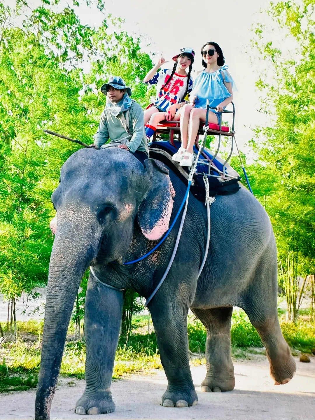 735b871e1d298feb0c831b5490346e39-sz_1082530 735b871e1d298feb0c831b5490346e39-sz_1082530